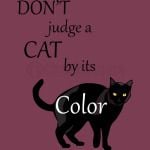 Don't judge a cat by its color
