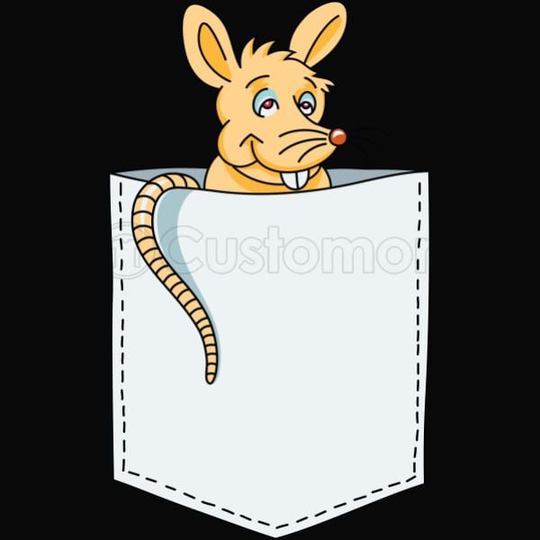Mouse Rat In Pocket Kids Hoodie Customon