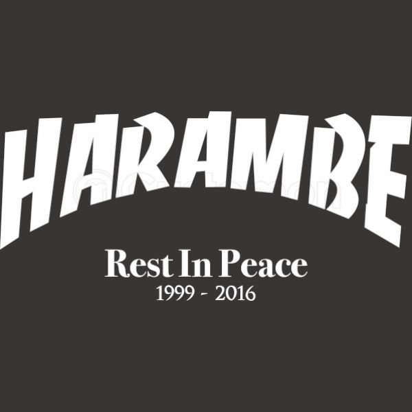 Rip Harambe Youth T Shirt Customon - rip harambe roblox