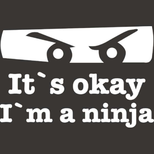 It Is Okay I Am A Ninja Pantie Customon