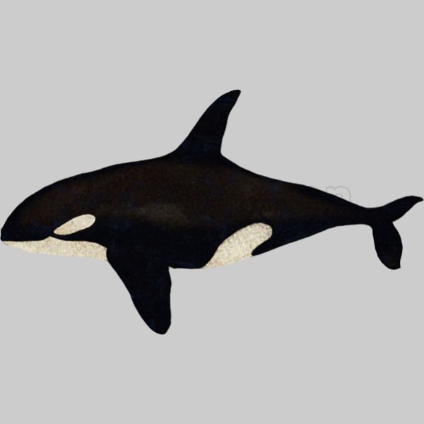 Killer Whale Orca Kids Tank Top Customon - roblox killer whale