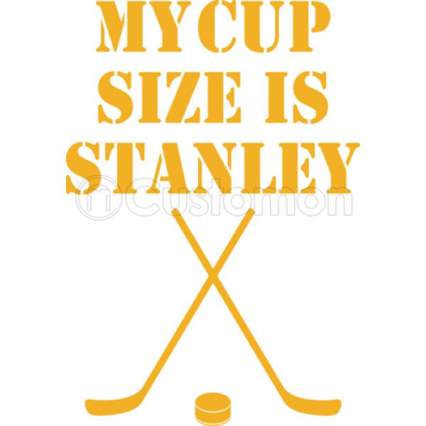 Size my stanley cup is My Cup