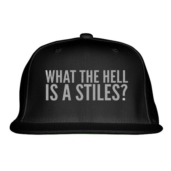 What The Hell Is A Stiles? Snapback Hat Black / One Size