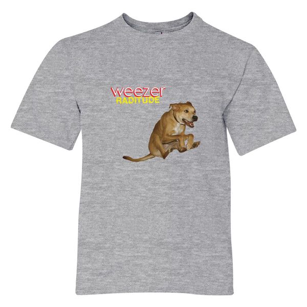 Weezer Raditude Youth T-Shirt Gray / S
